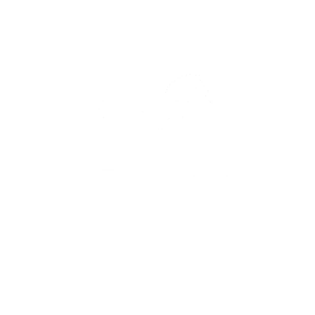texko